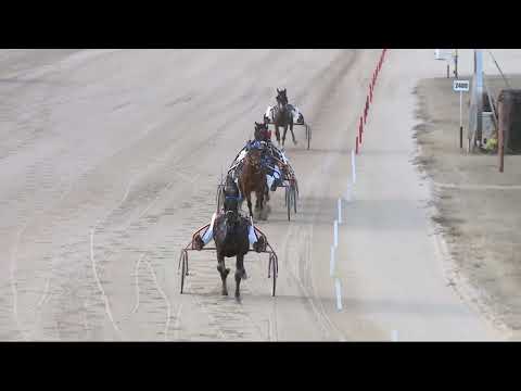 2022.02.12. 03. futam -  2022. ÉVI AMATŐR KUPA II. FUTAMA HENDIKEP