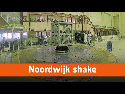 Noordwijk shake