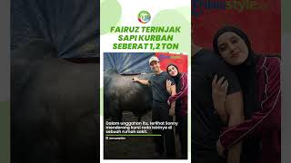 Fairuz A Rafiq Terinjak Sapi Kurban Seberat 1,2 Ton Hadiah dari Raffi Ahmad, Begini Kondisinya