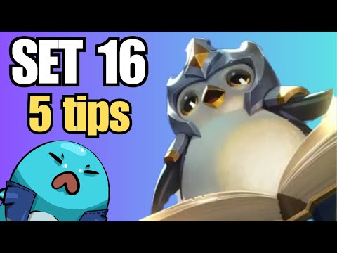 5 tips you NEED to know about Set 16
