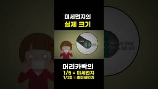 미세먼지의 크기는 얼만한가? #shorts ┃질문 있는 특강쇼 빅뱅┃알고e즘