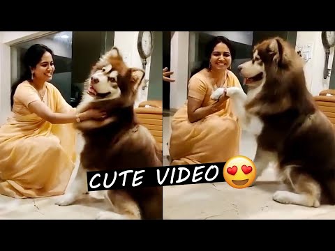 Singer Sunitha SUPER CUTE Moments With A Dog | Singer Sunitha Latest Video | Sunray Media