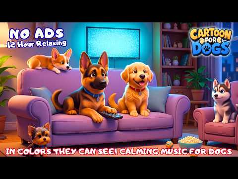 Petfib