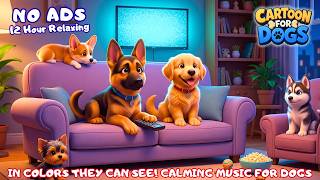 🔴Fun Dog Cartoon TV: Anti-Anxiety & Prevent Boredom for Dog Home Alone 🐶 Music for Stress Relief