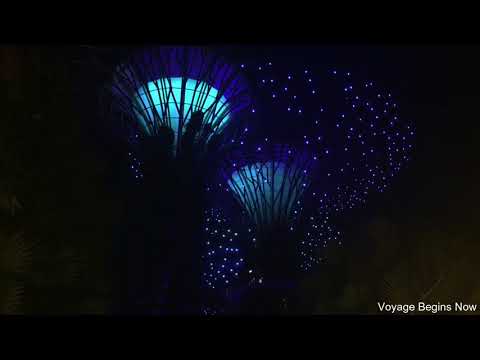 Singapore - Gardens By The Bay light show |  Chathu & Ishanka