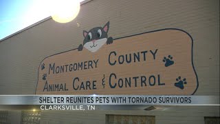 Shelter reunites pets with tornado survivors in Clarksville, TN