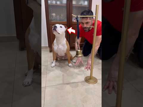 Man teaches dog to ask for food 🥰