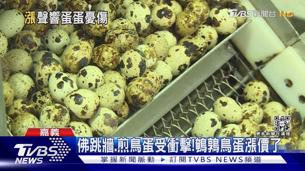 佛跳牆、煎鳥蛋受衝擊!飼料漲加流感疫情 鵪鶉鳥蛋漲價