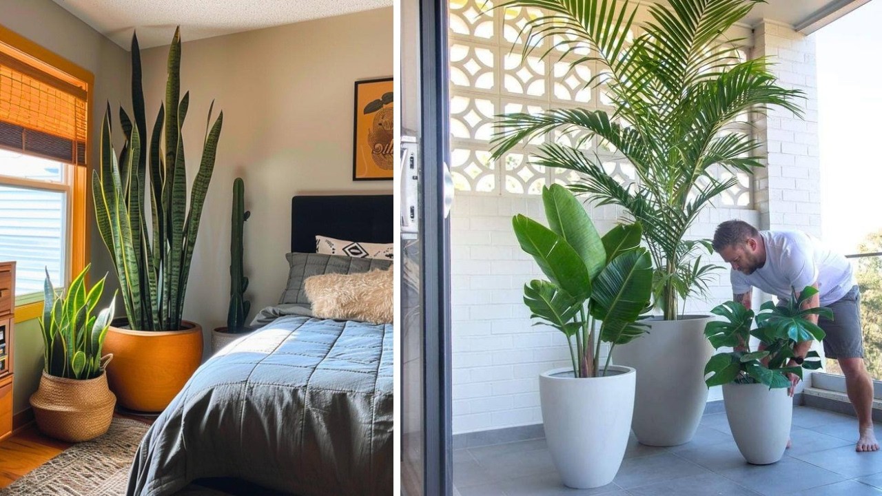 (+157 iDEIAS) Como DECORAR e REFRESCAR o INTERIOR da SUA CASA com PLANTAS em um oásis de frescor