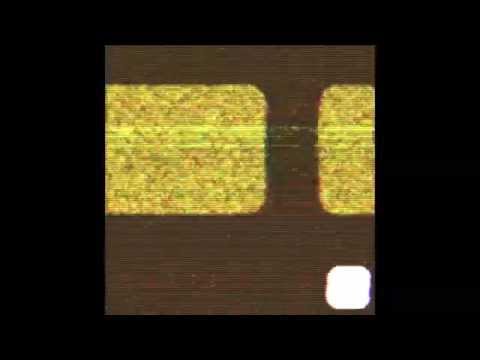 Heavy English - Black Dog