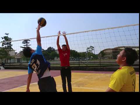 Menghadang di dalam permainan Bola Tampar