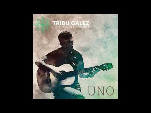 SUELTO Y ME LIBERO - TRIBU GALEZ (2025)
