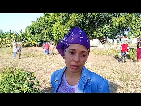 Trabajadores de diversos sectores se unen en organopónico de Manzanillo para impulsar la producción 