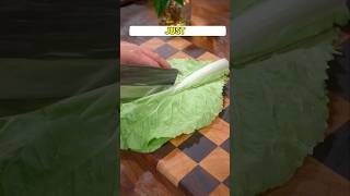 The Chef is amazing.