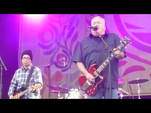 Cesar ROSAS LOS LOBOS  - Will The Wolf Survive