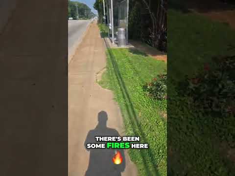 Apartment Complex Eviction: Shocking News & Resident Crisis