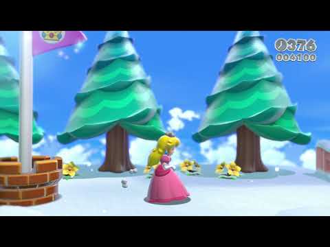 Super Mario 3D World 6-5 Speedrun - Time: 24 (Former WR)