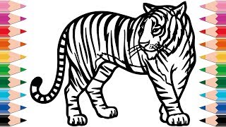 How to Draw Tiger Coloring Pages for Kids Drawing and Learn Colors for Kid Toddlers