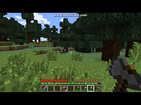 Dansk Minecraft-guide e04 - Sengen og folden