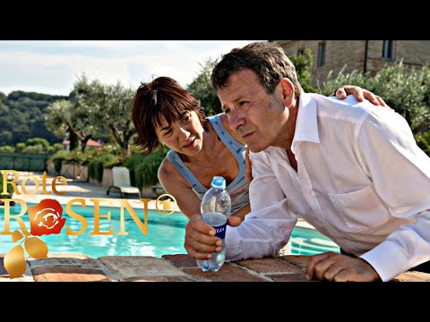 Red Roses 🌹 Episode 1587