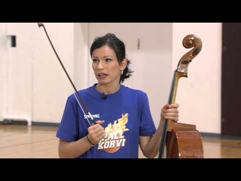 "Pall korvi" - Silvia Ilves