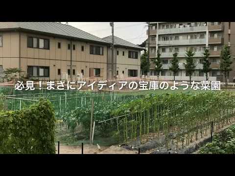 菜園のデザインアイデア トピックス