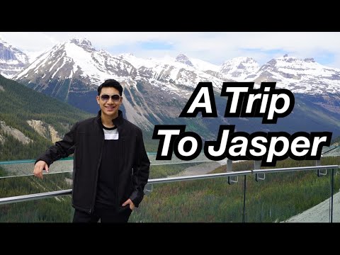 Up Close With Bears in Jasper! | Darren Espanto
