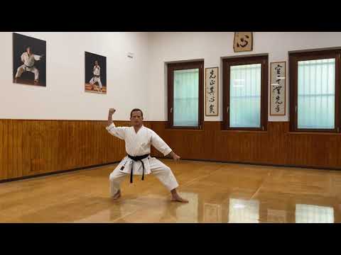 Jion - Full Karate Kata Explanation with Bunkai - Master Dario Marchini