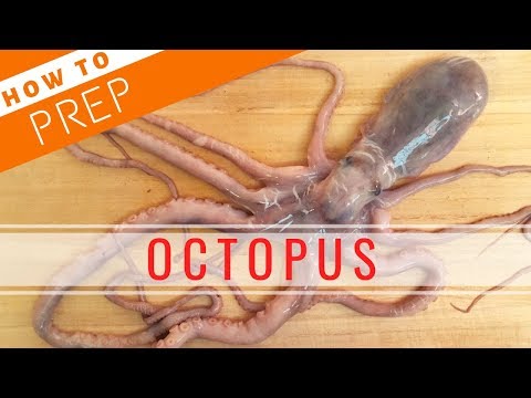 How to Prep Octopus【Sushi Chef Eye View】