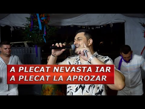 Dane Bogdan Live Band - A plecat Nevasta iar, a plecat la Aprozar ( Live la Hotarele 2024 )