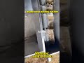 High Efficiency Sesame Washing Machine For Food Production Lines Sesame Sesameseed Washingmachine