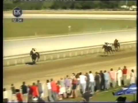 Seattle Sur-Srbija 2003. god -www.galopforum.tk-