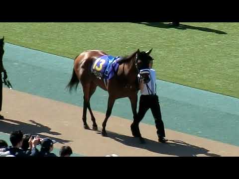 2018.05.20東京11Ｒ【ＧⅠ オークス】パドック