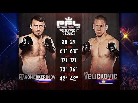 Magomed Magomedkerimov vs Bojan Velickovic full fight