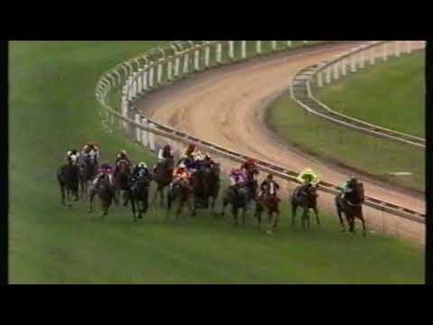 1995 Vic Health Cup - Our Maizcay