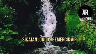 Download lagu Sikatan londo dan Gemercik air || mastering bird mp3 Download lagu Sikatan londo dan Gemercik air || mastering bird mp3