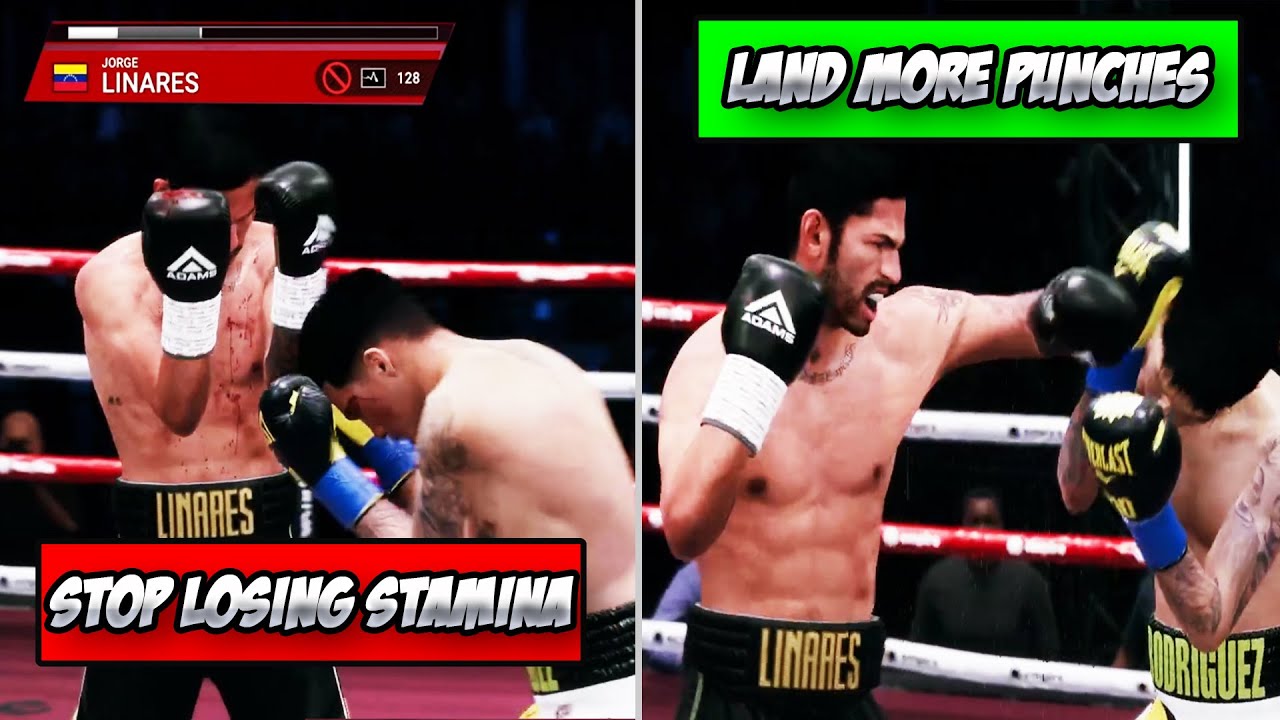 Undisputed Tips for Beginners