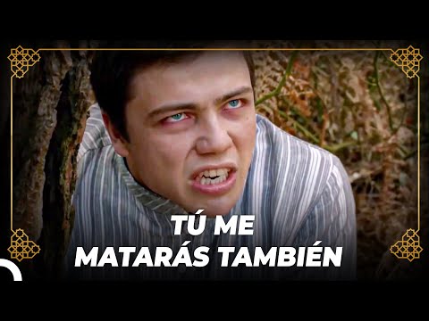 El Dolor De Mustafa Enferma A Cihangir | Historia Otomana