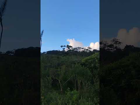Uribe (Meta). Llanos Orientales. En la finca. m.@.@🦇