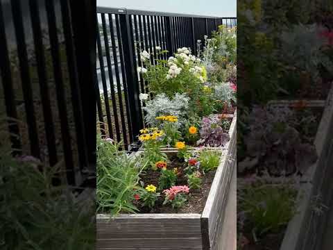 野菜の旧暦2022年6月：月のあるガーデニングがおしゃれ！  庭園