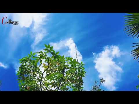 Cinematic video create tutorial || cinematic video || nature 🍃🎥