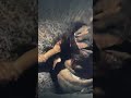 Star Wars Tickle