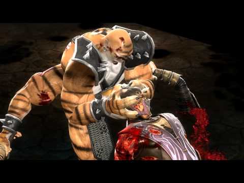 Mortal Kombat 9 Ladder на ПК - Rain