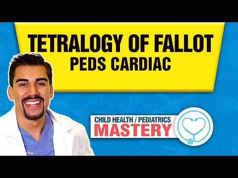 Tetralogy of Fallot Defect | Congenital Heart Defects Nursing