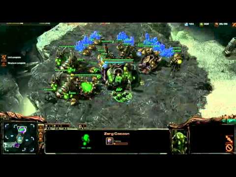 Real funny showmatch Day[9] vs DjWheat