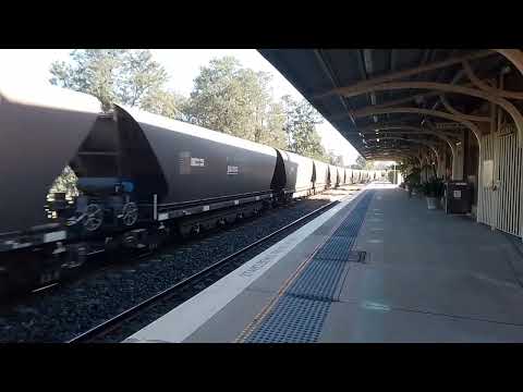 9309 9030 LDP001 Hauling Coal Past Muswellbrook Station   16.6.24