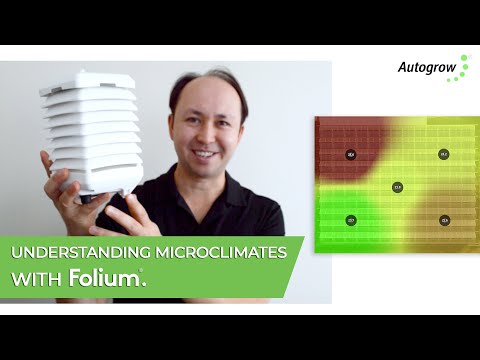 Understanding Microclimates with Folium®