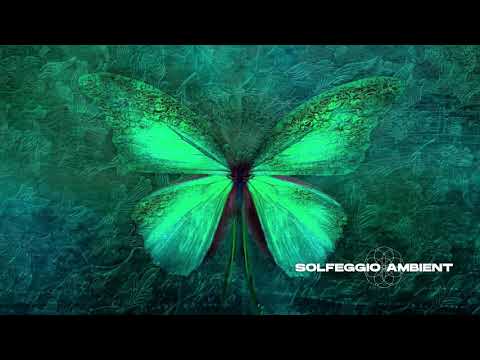 Thymus: Higher Heart Chakra | Pure Tone Frequency