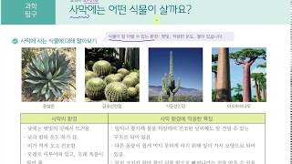 [초등과학 4-2 무료강의] 1. 식물의 생활 ⑤ 사막에는 어떤 식물이 살까요?