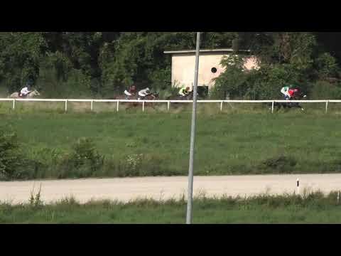 Trka "Internacionalna trka" 14.07.2019 MAGIC MAN - Đorđe Perović